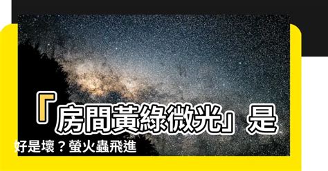 家裡出現螢火蟲代表什麼|關於螢火蟲，爸媽可以教孩子的事